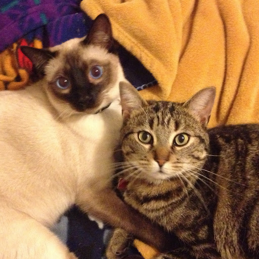 Marlene Anderson Photo 24