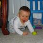 Karen Wicks Photo 19