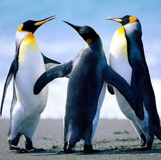 George Nicholson Photo 23