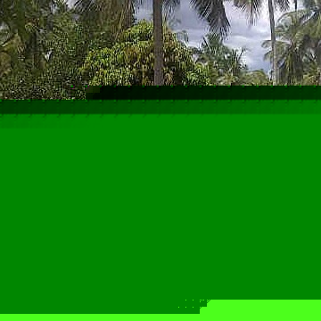 Elizabeth Benjamin Photo 12 Elizabeth Benjamin Photo 12