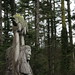 Susan Wiley Photo 7