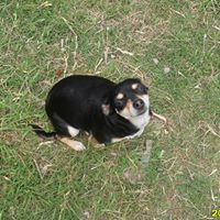 John Dillion Photo 21