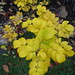 Charles Rose Photo 22