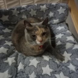 Julia Whitehead Photo 9