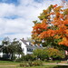Ellen Reed Photo 10