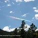 James Edsall Photo 6