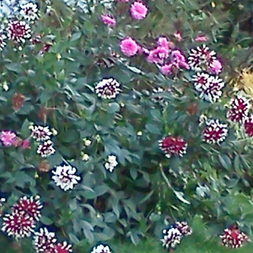 Ann Ware Photo 14