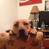 Glenn Leach Photo 19