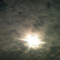 Cynthia Ames Photo 7