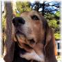 Debra Coleman Photo 30
