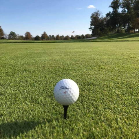 Joel Parsons Photo 40