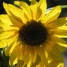 Michele Rietz Photo 5