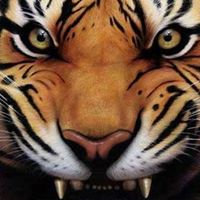 Brian Capps Photo 32