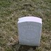 John Shaffer Photo 36
