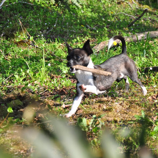 Natalie Gray Photo 19