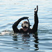 Bradley Yoder Photo 23