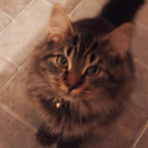 Jessie Hill Photo 24