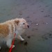Audrey Beach Photo 20