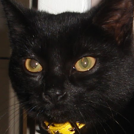 Geoff Patterson Photo 5