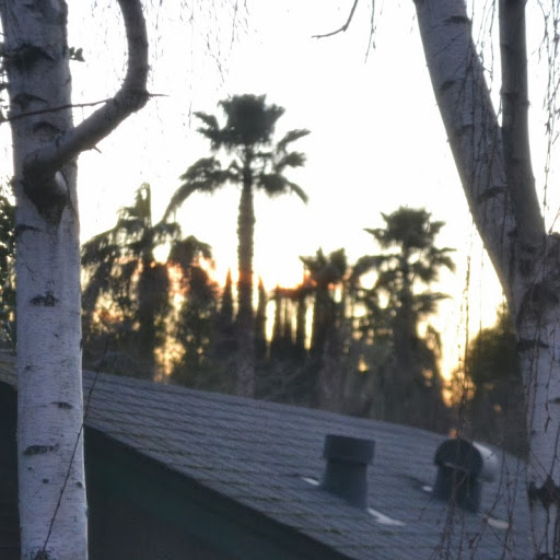 Dennis Ingram Photo 12