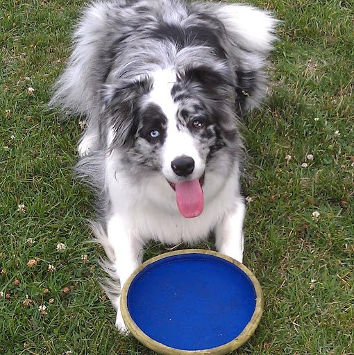 Jill Larson Photo 30