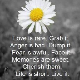 Cheryl Garcia Photo 39