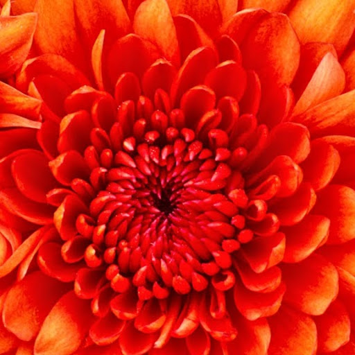 Sarah Steiner Photo 33