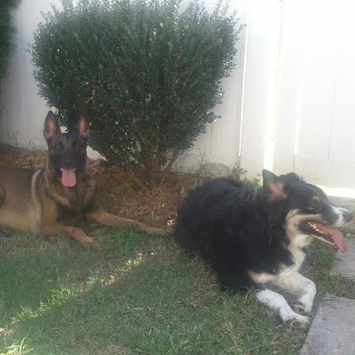 Stephanie Hurst Photo 19