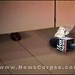 Larry Fox Photo 36