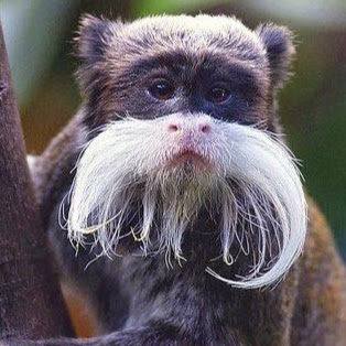 Randy Norris Photo 20