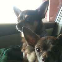 Brenda Naylor Photo 14