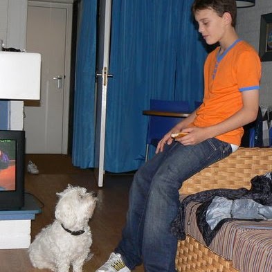 Sam Preston Photo 22