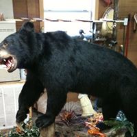 Phillip Ashley Photo 9