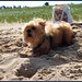 Winnie Peterson Photo 16