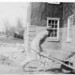 David Buck Photo 22