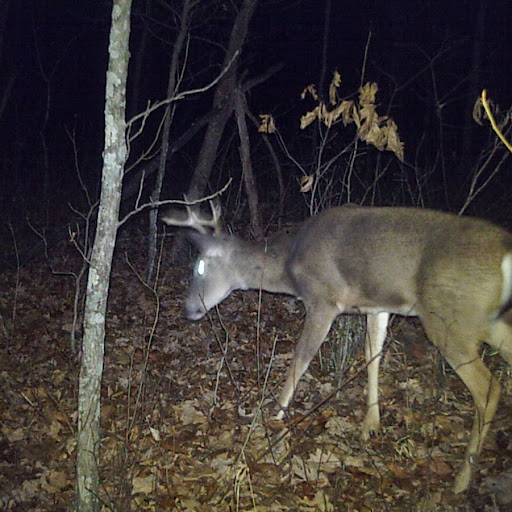 Kevin Albert Photo 29