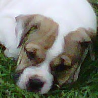 Amelia Richards Photo 22