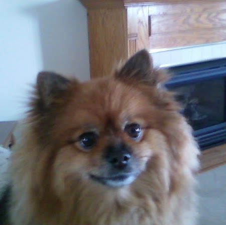 Debra Defrancesco Photo 3