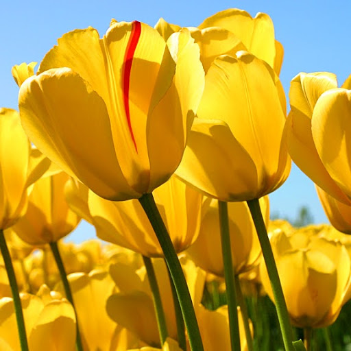 Danielle Gibbs Photo 24