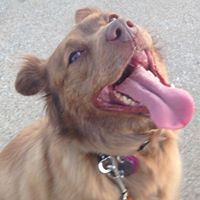 Kathlene Cook Photo 9