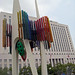 Joseph Stockwell Photo 11