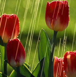 Stephanie Dunbar Photo 30