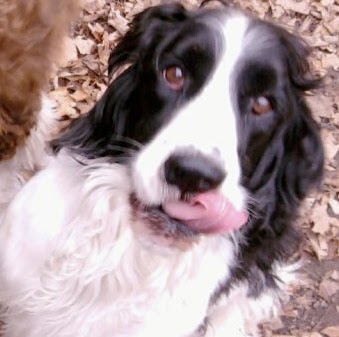 Mark Talbot Photo 25