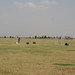 David Mauck Photo 20