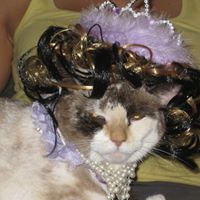 Joanna Withers Photo 4