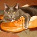 Kenneth Buster Photo 18