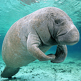 Roy Guthrie Photo 19 Roy Guthrie Photo 19