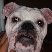 Tracy Kelley Photo 24