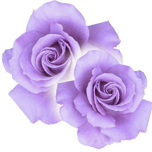 Evelyn Rose Photo 26