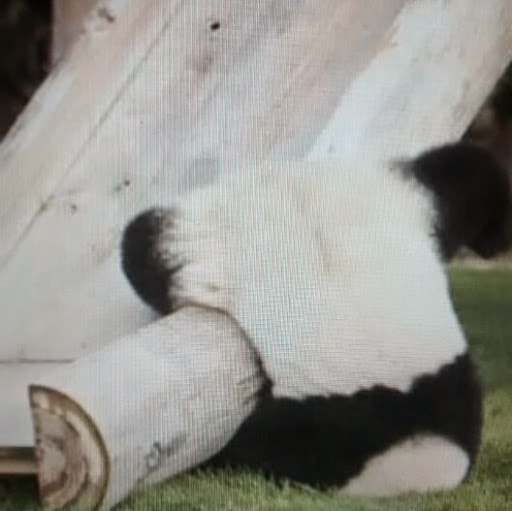 Ruben Morales Photo 25